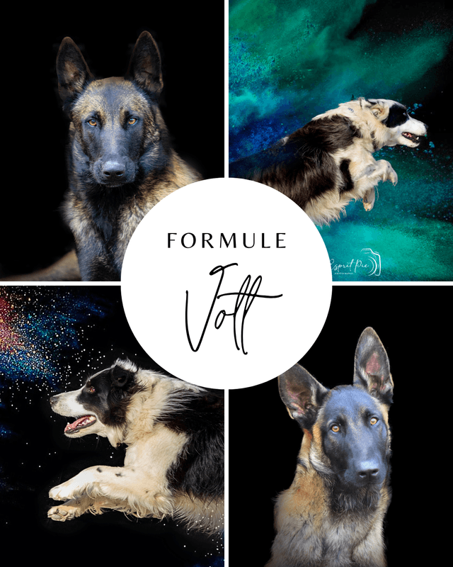 Formule Volt