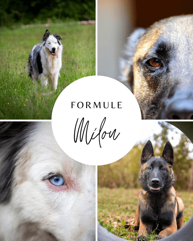 Formule Milou