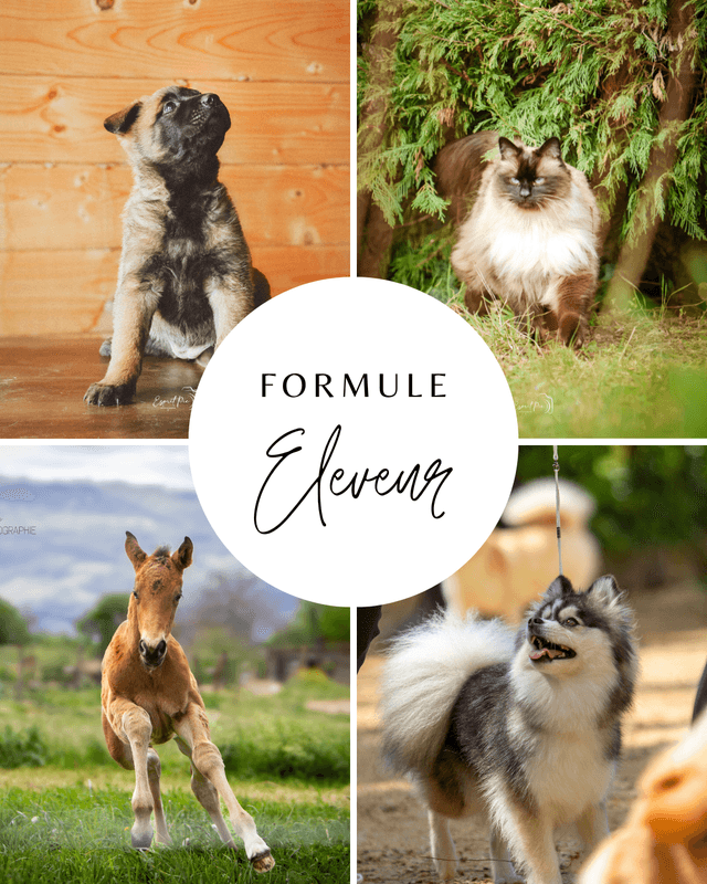 Formule Eleveurs
